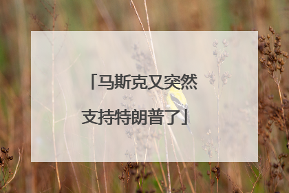 马斯克又突然支持特朗普了
