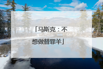 马斯克：不想做替罪羊