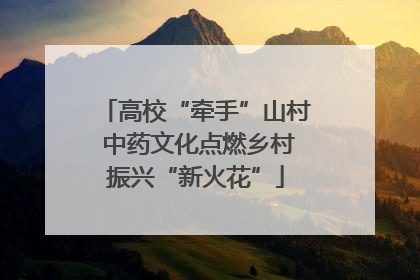 高校“牵手”山村 中药文化点燃乡村振兴“新火花”