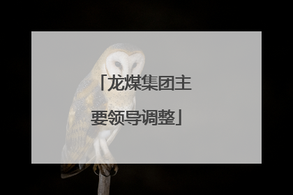 龙煤集团主要领导调整