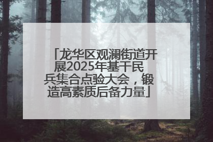 龙华区观澜街道开展2025年基干民兵集合点验大会，锻造高素质后备力量