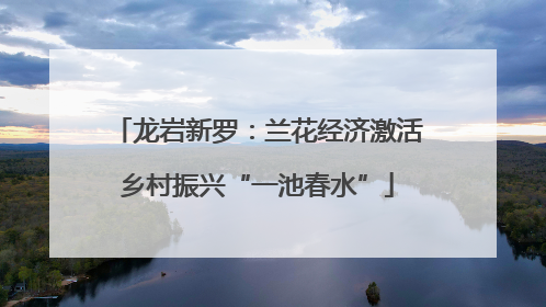 龙岩新罗：兰花经济激活乡村振兴“一池春水”