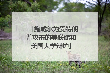 鲍威尔为受特朗普攻击的美联储和美国大学辩护