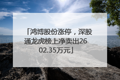 鸿博股份涨停，深股通龙虎榜上净卖出2602.35万元