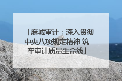 麻城审计：深入贯彻中央八项规定精神 筑牢审计质量生命线