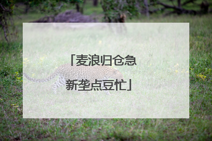 麦浪归仓急 新垄点豆忙