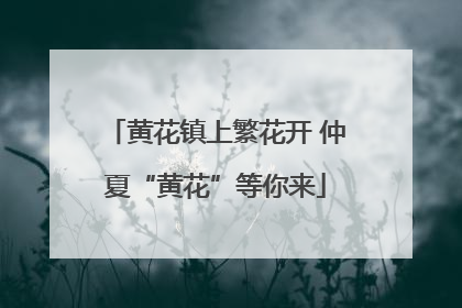 黄花镇上繁花开 仲夏“黄花”等你来