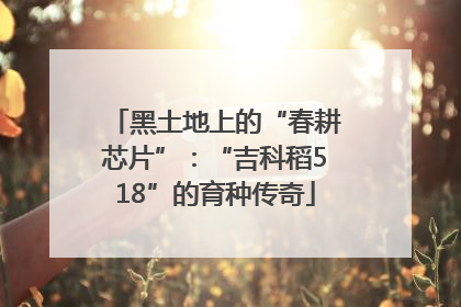 黑土地上的“春耕芯片”：“吉科稻518”的育种传奇