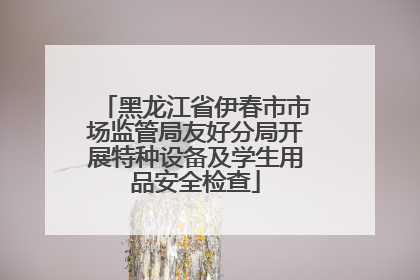 黑龙江省伊春市市场监管局友好分局开展特种设备及学生用品安全检查