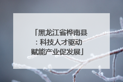 黑龙江省桦南县：科技人才驱动 赋能产业促发展