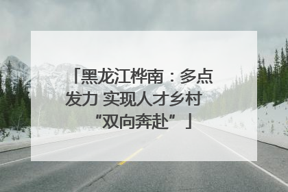 黑龙江桦南：多点发力 实现人才乡村“双向奔赴”