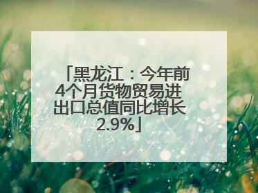黑龙江：今年前4个月货物贸易进出口总值同比增长2.9%
