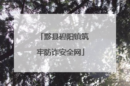 黟县碧阳镇筑牢防诈安全网