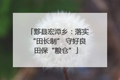 黟县宏潭乡：落实“田长制” 守好良田保“粮仓”