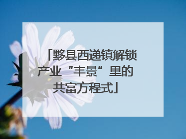 黟县西递镇解锁产业“丰景”里的共富方程式