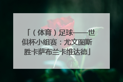 （体育）足球——世俱杯小组赛：尤文图斯胜卡萨布兰卡维达德