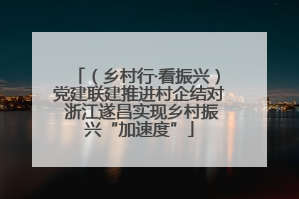 （乡村行·看振兴）党建联建推进村企结对 浙江遂昌实现乡村振兴“加速度”