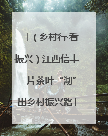 （乡村行·看振兴）江西信丰一片茶叶“沏”出乡村振兴路