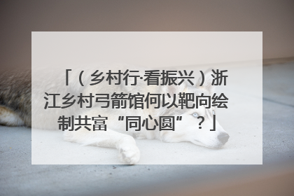 （乡村行·看振兴）浙江乡村弓箭馆何以靶向绘制共富“同心圆”？