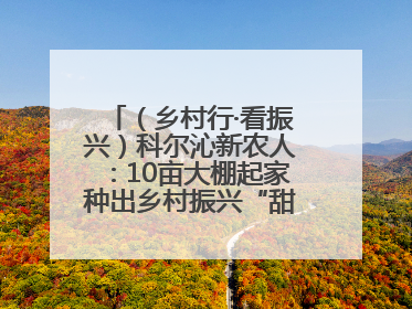 （乡村行·看振兴）科尔沁新农人：10亩大棚起家种出乡村振兴“甜蜜果”