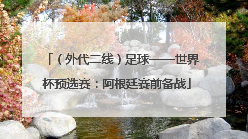 （外代二线）足球——世界杯预选赛：阿根廷赛前备战