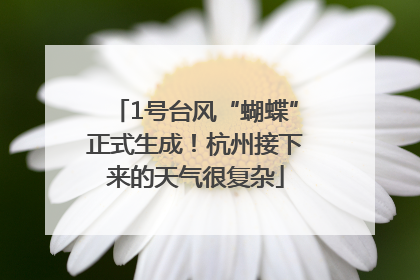 1号台风“蝴蝶”正式生成！杭州接下来的天气很复杂