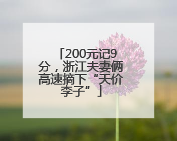 200元记9分，浙江夫妻俩高速摘下“天价李子”