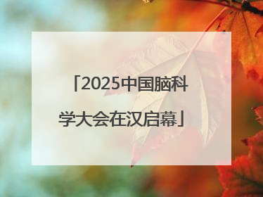 2025中国脑科学大会在汉启幕