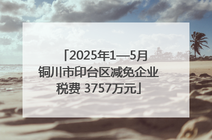 2025年1—5月铜川市印台区减免企业税费 3757万元