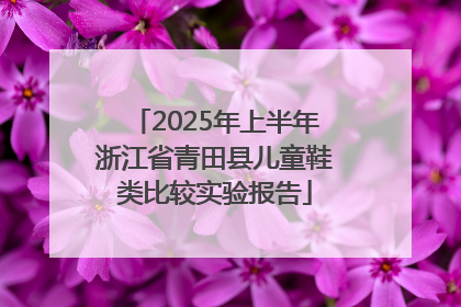 2025年上半年浙江省青田县儿童鞋类比较实验报告