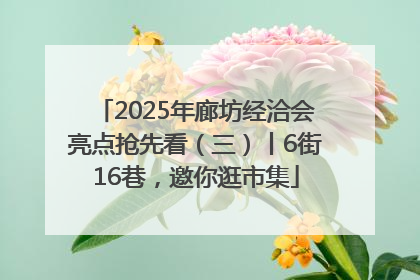 2025年廊坊经洽会亮点抢先看（三）丨6街16巷，邀你逛市集