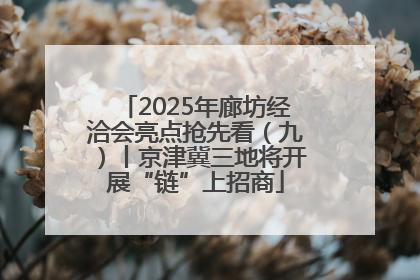 2025年廊坊经洽会亮点抢先看（九）丨京津冀三地将开展“链”上招商