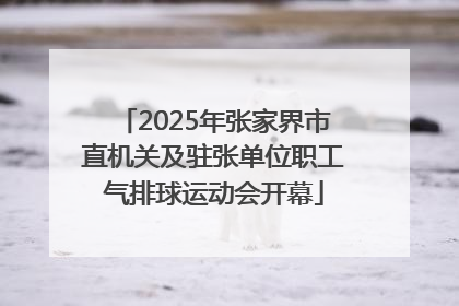 2025年张家界市直机关及驻张单位职工气排球运动会开幕