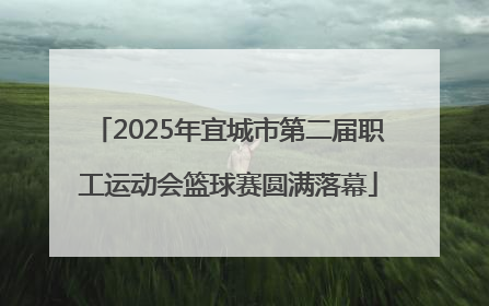 2025年宜城市第二届职工运动会篮球赛圆满落幕
