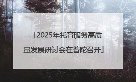 2025年托育服务高质量发展研讨会在普陀召开