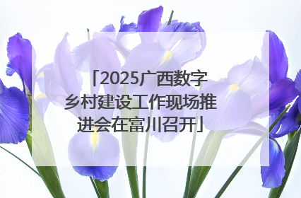 2025广西数字乡村建设工作现场推进会在富川召开