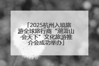 2025杭州入境旅游全球旅行商“潮萧山·会天下”文化旅游推介会成功举办