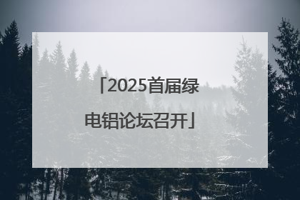 2025首届绿电铝论坛召开