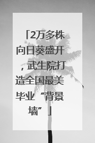 2万多株向日葵盛开，武生院打造全国最美毕业“背景墙”
