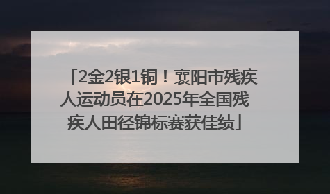 2金2银1铜！襄阳市残疾人运动员在2025年全国残疾人田径锦标赛获佳绩