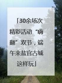 30余场次精彩活动“嗨翻”双节，端午来盐官古城这样玩