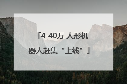 4-40万 人形机器人赶集“上线”