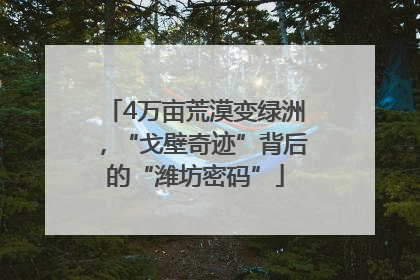 4万亩荒漠变绿洲，“戈壁奇迹”背后的“潍坊密码”