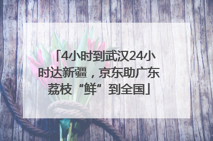 4小时到武汉24小时达新疆，京东助广东荔枝“鲜”到全国