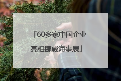 60多家中国企业亮相挪威海事展