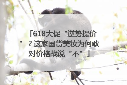 618大促“逆势提价”？这家国货美妆为何敢对价格战说“不”