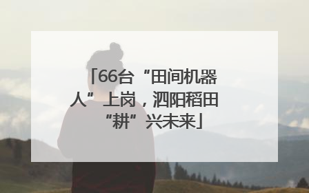 66台“田间机器人”上岗，泗阳稻田“耕”兴未来
