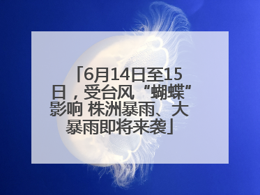 6月14日至15日，受台风“蝴蝶”影响 株洲暴雨、大暴雨即将来袭