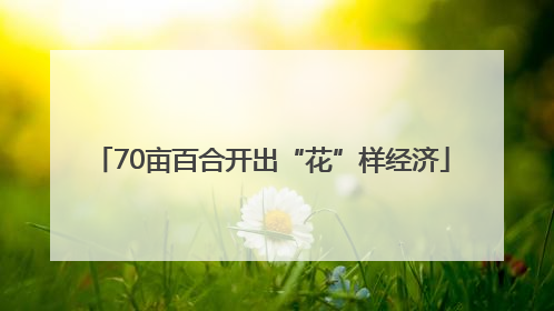 70亩百合开出“花”样经济