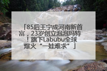 85后王宁成河南新首富，23岁创立泡泡玛特！旗下Labubu全球爆火“一娃难求”